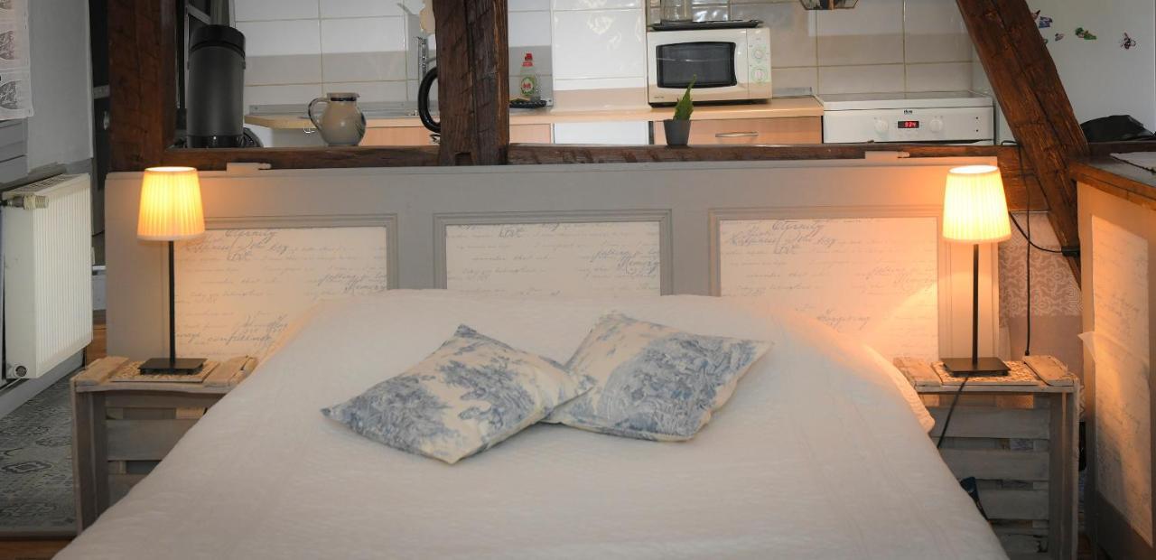 Le Duplex Apartment Colmar Exterior foto